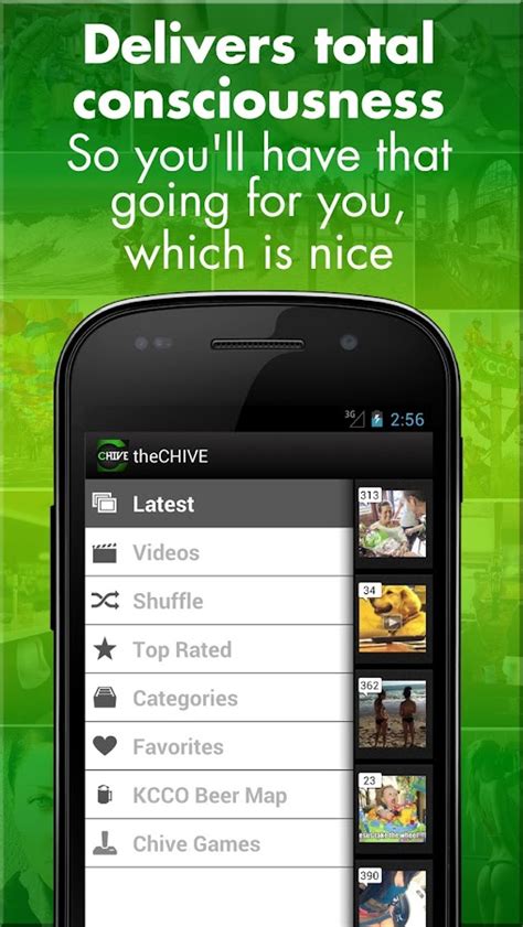 the chive app